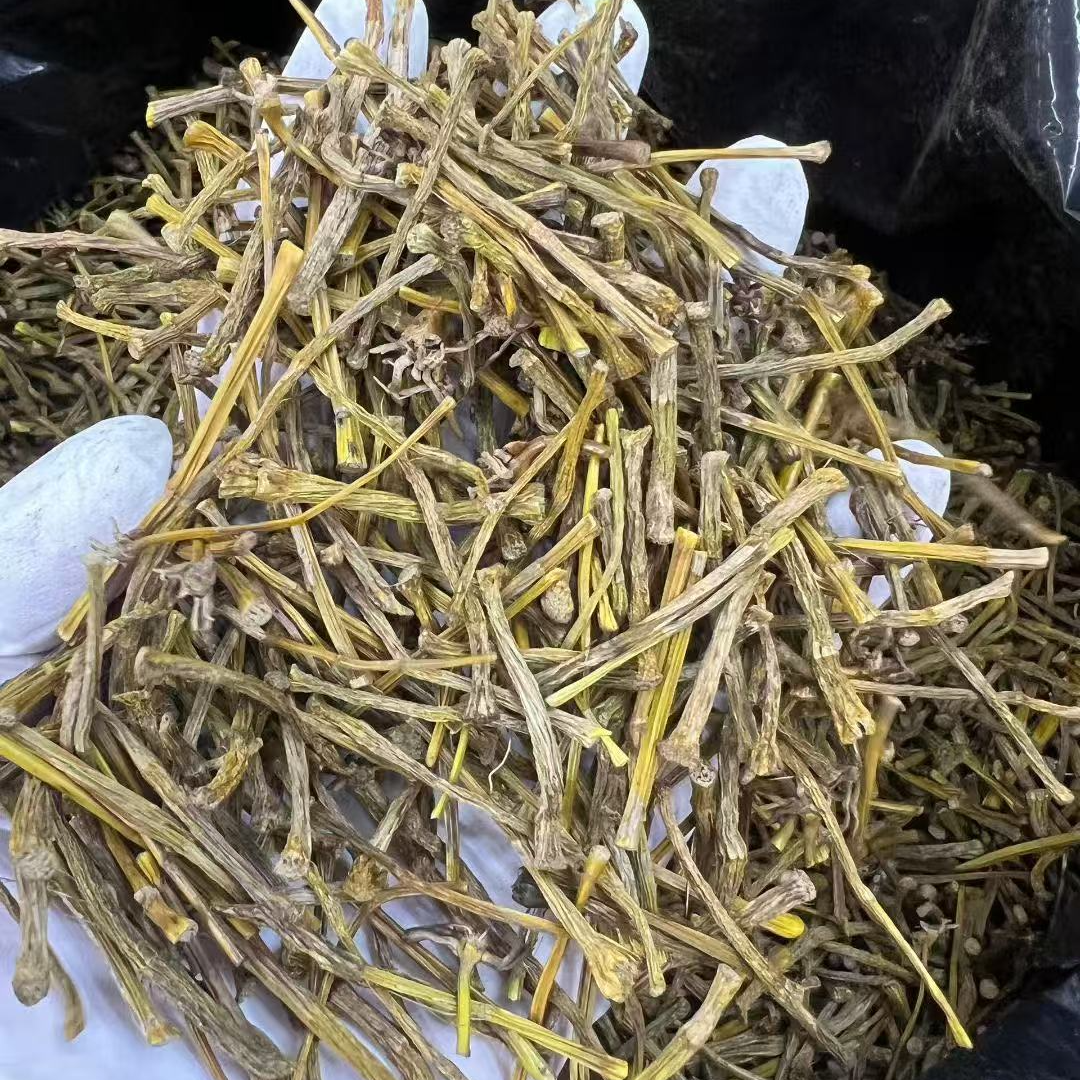 培辉堂精选 紫皮石斛