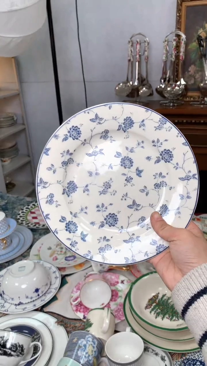 【闪购商品】瓷片陶瓷原单CC220餐具1个8寸