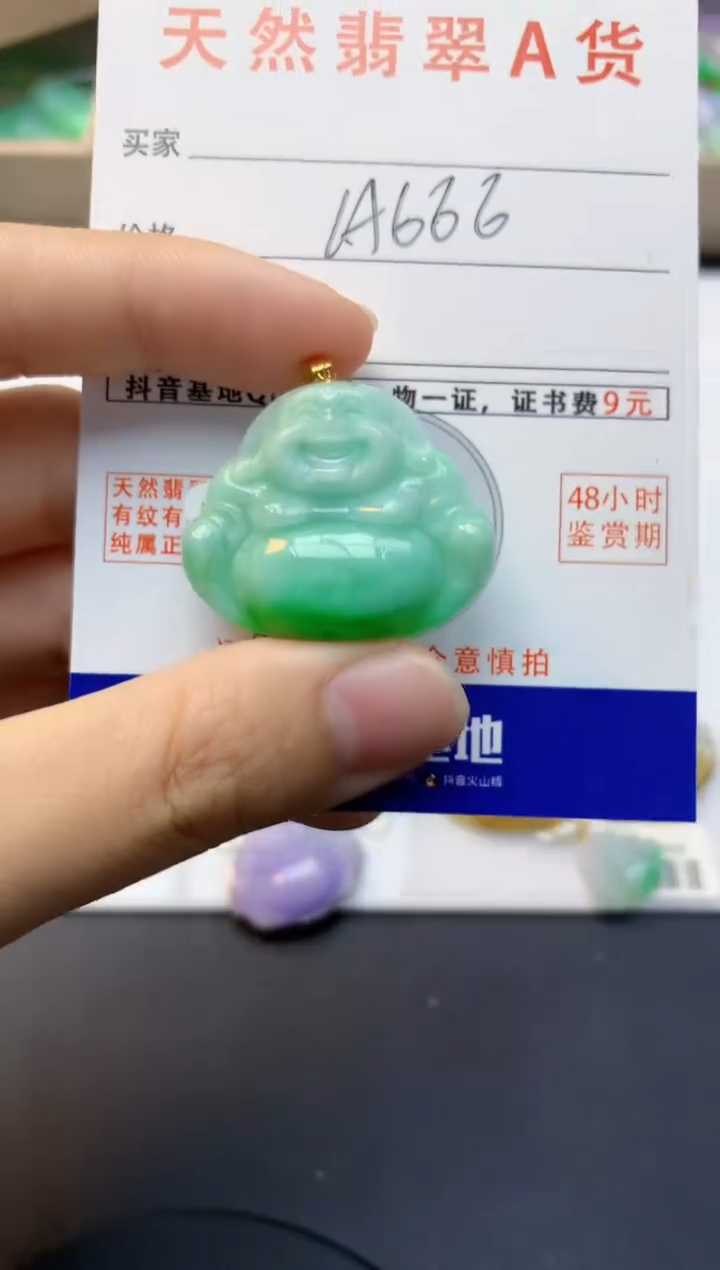 颈饰18K金镶嵌翡翠天然缅甸A货翡翠百元以上9元证书费自理