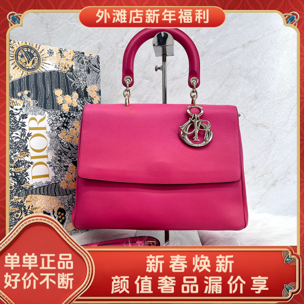 95新/迪奥/市场价28000/包包/250124RN0019