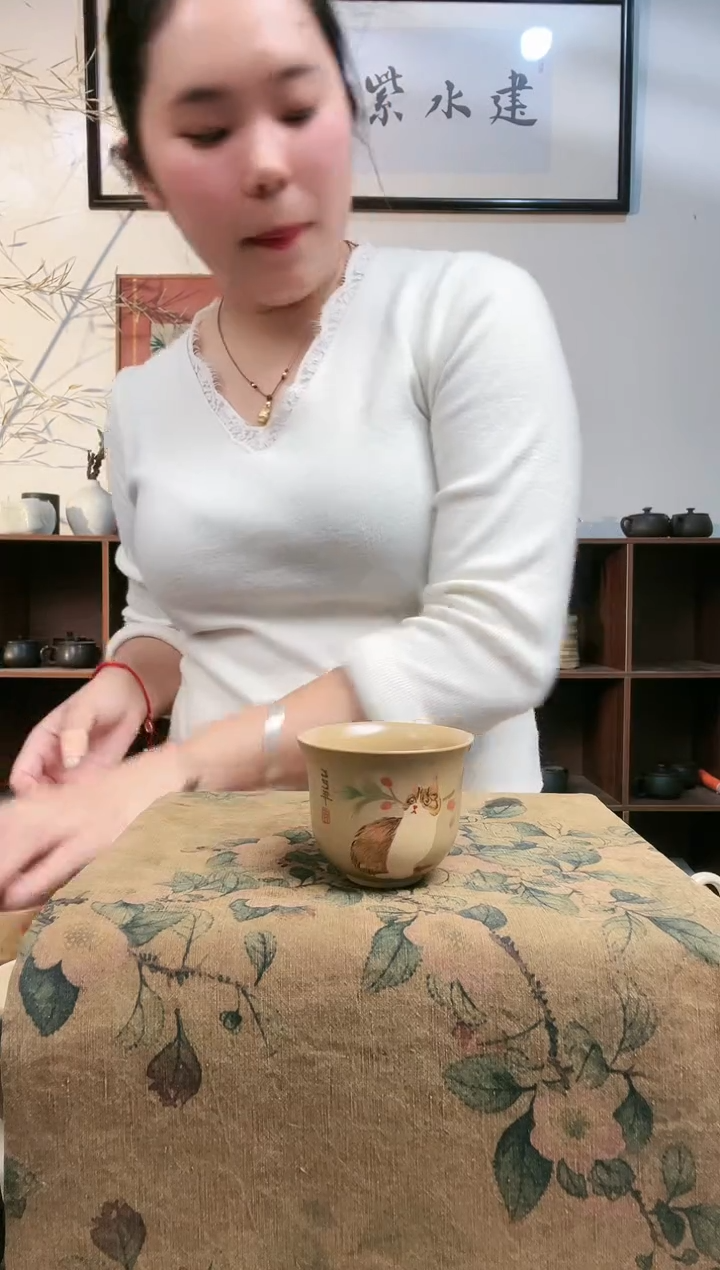 骨瓷云南建水紫陶105