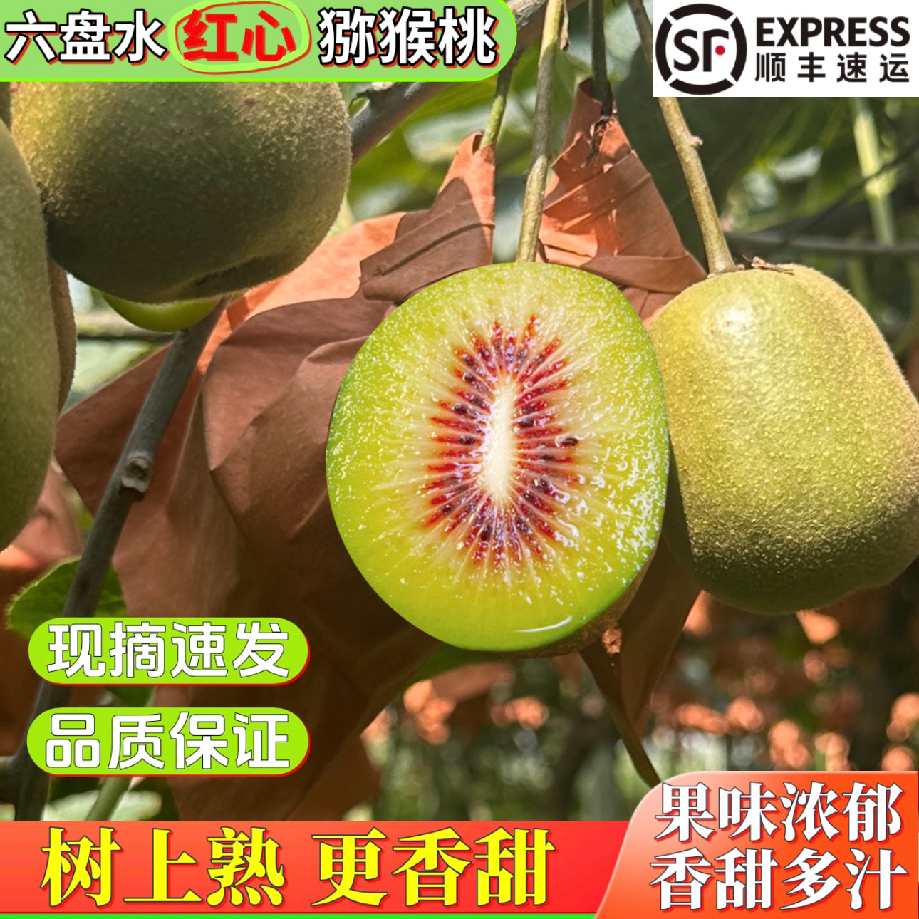 正宗六盘水红心猕猴桃当季水果软糯香甜多汁新鲜现摘顺丰包邮