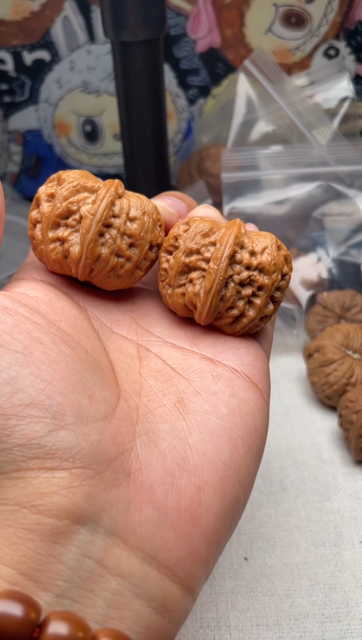 把件文玩核桃1213-全品无修海豚头翘肩平谷元宝