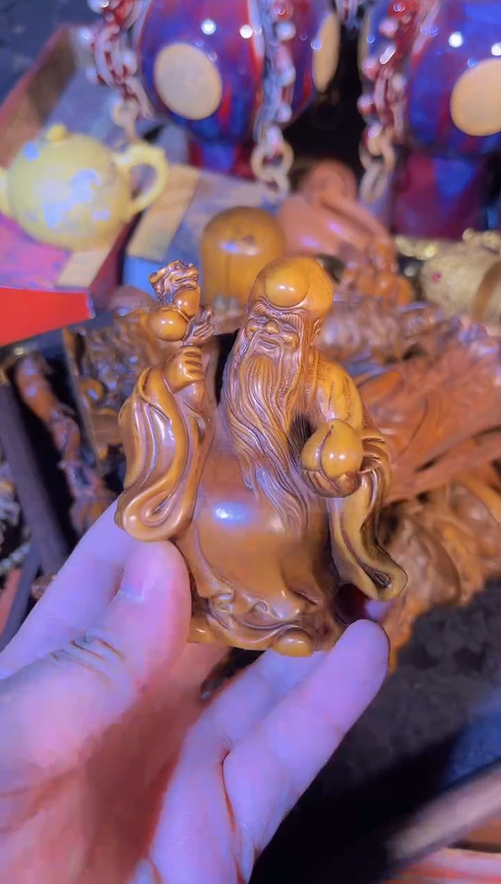 黄杨木1111111111111111111