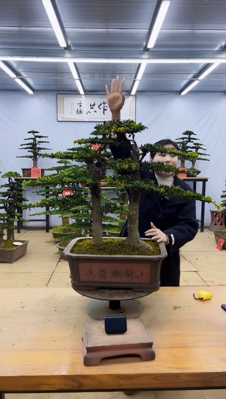 一物一拍，所见即所得