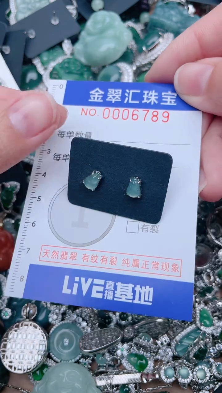 【闪购商品】翡翠颈饰未镶嵌6789.....1