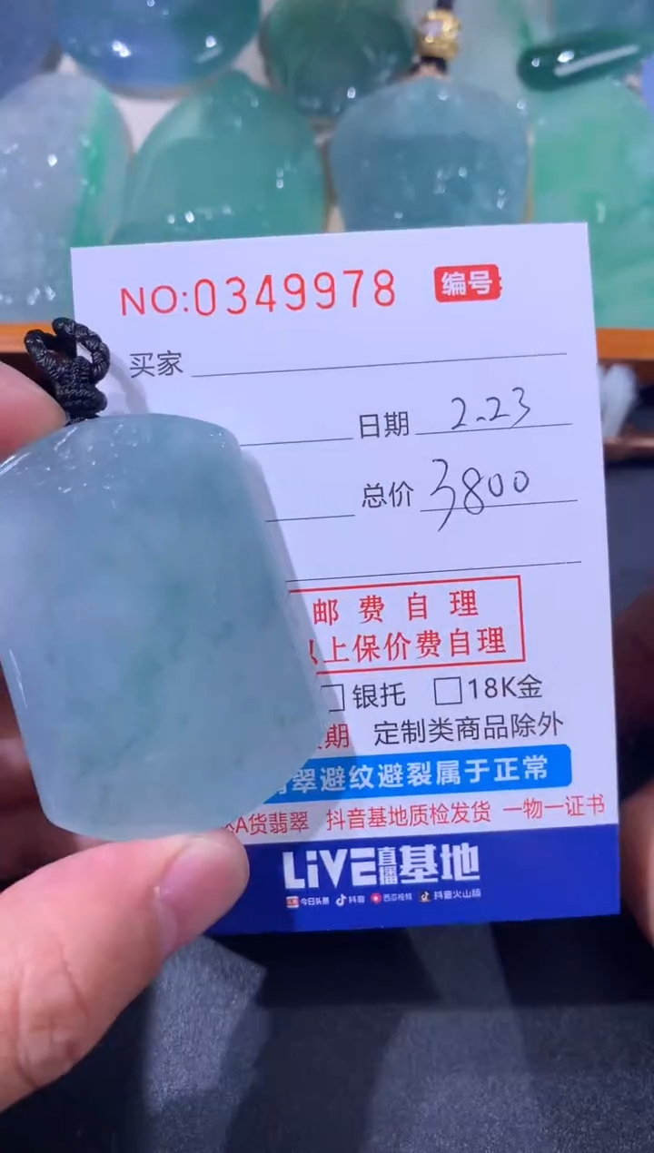 【闪购商品】翡翠颈饰未镶嵌天然A货翡翠
