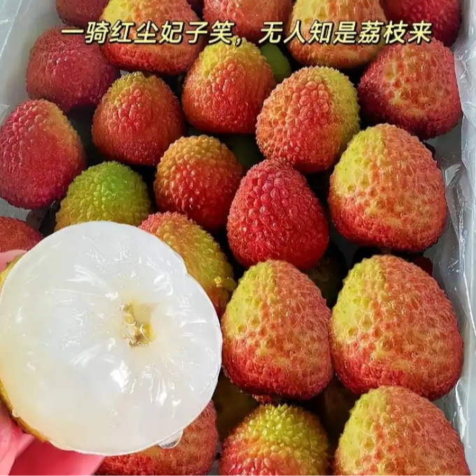 【618福利大叔甄选】海南妃子笑荔枝 净重2-6.5斤