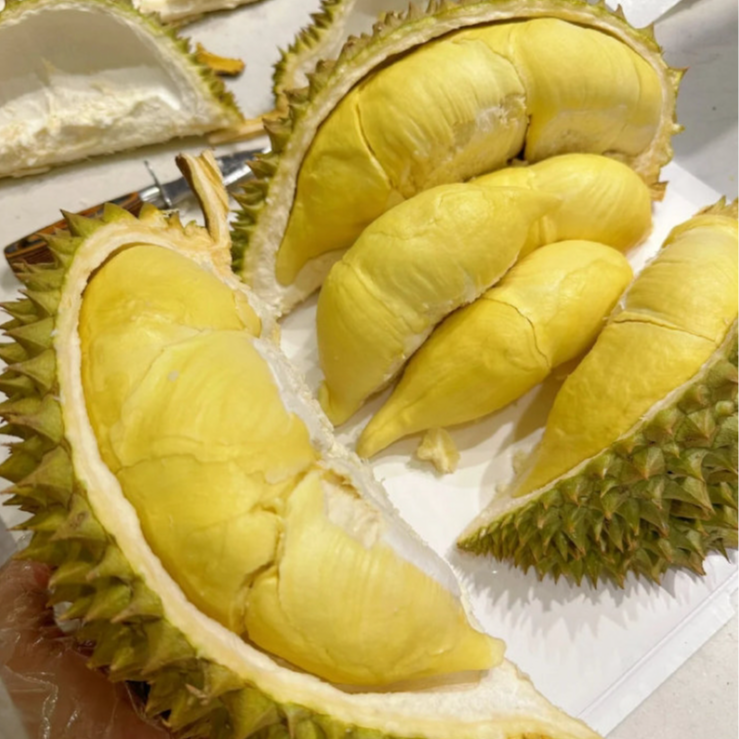 【陈灵岳甄选】“合泰龙”泰国鲜果金枕榴莲一箱（包4房）一物一称