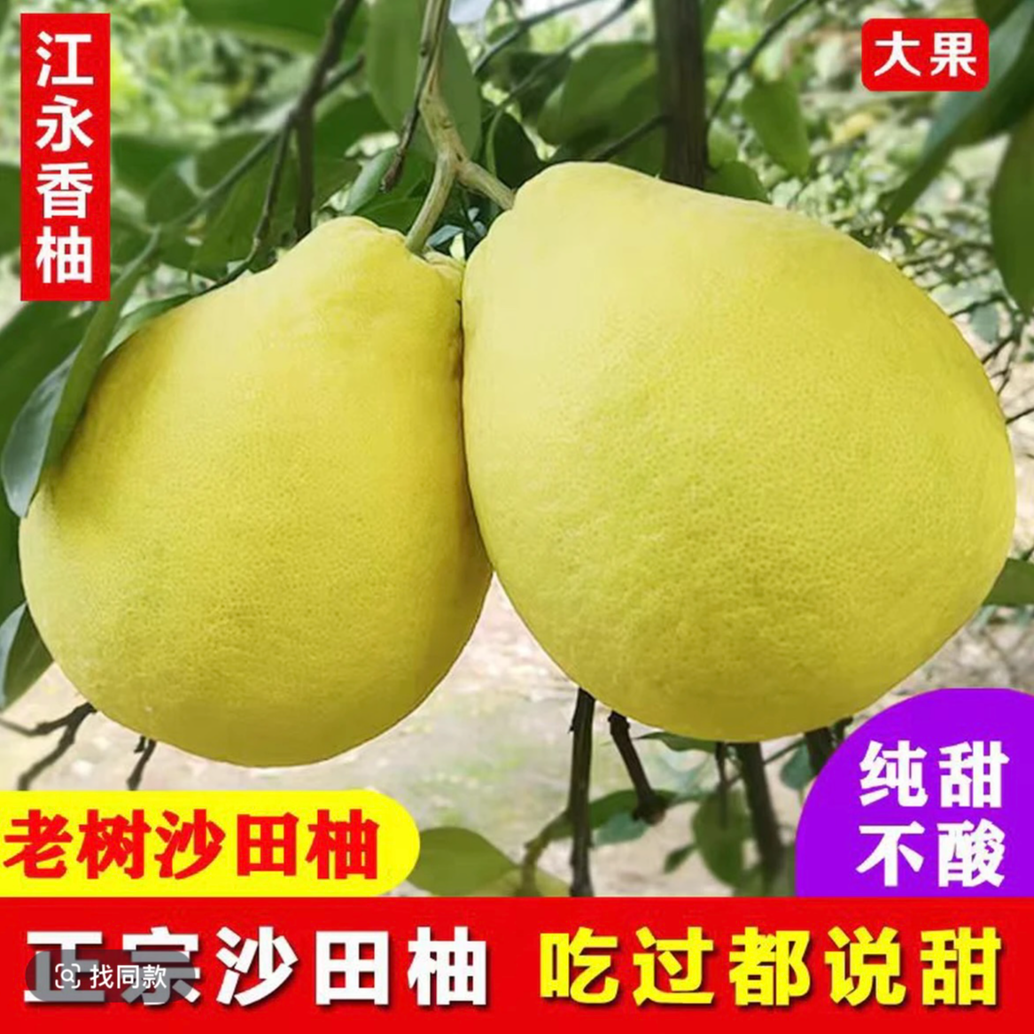 正宗湖南江永香柚沙田柚30年老树果新鲜水果多汁当季特产老少皆宜
