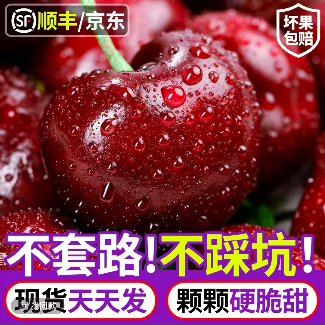 空运智利进口桑提娜车厘子5斤原箱2J-4J内附果径卡顺丰包邮