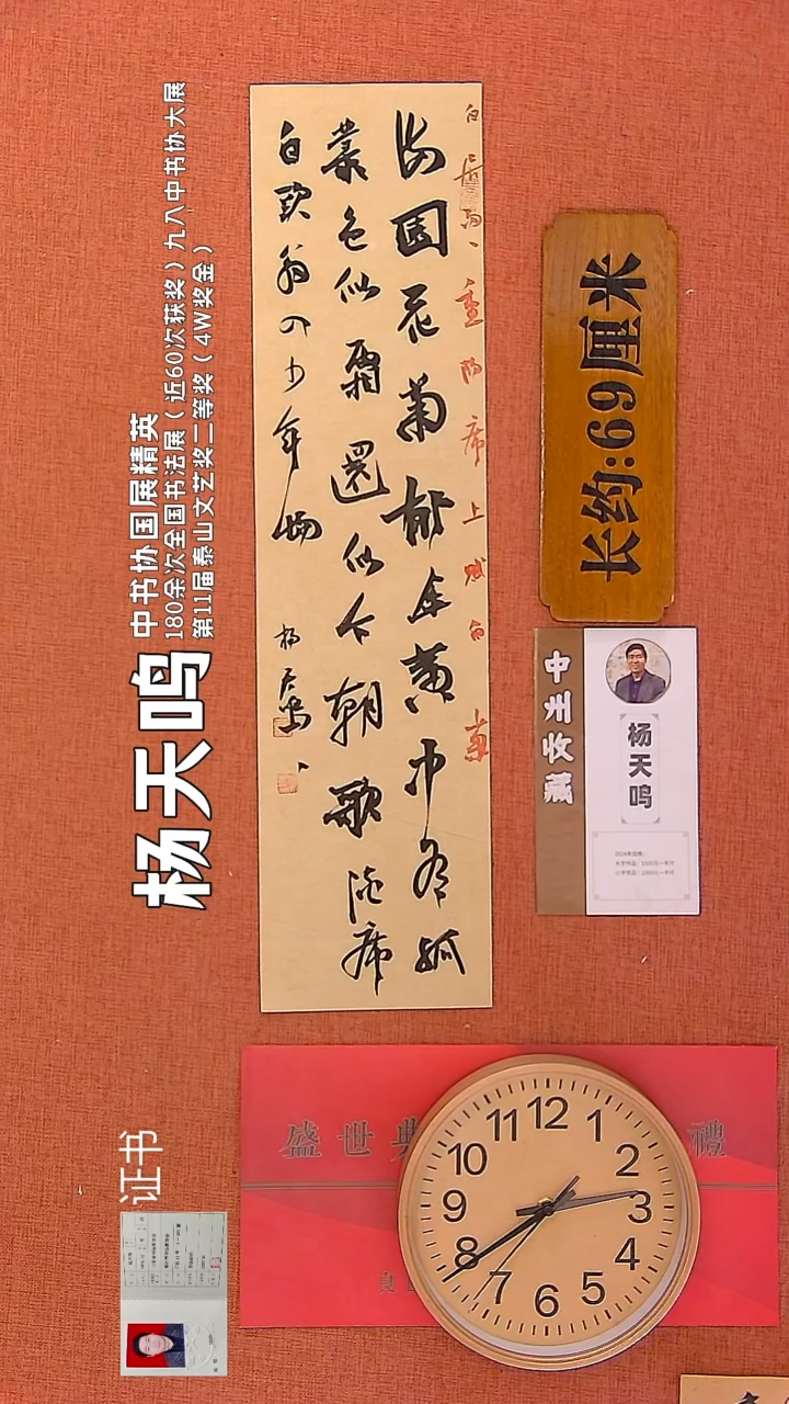 【闪购商品】书法31        杨天鸣书法作品