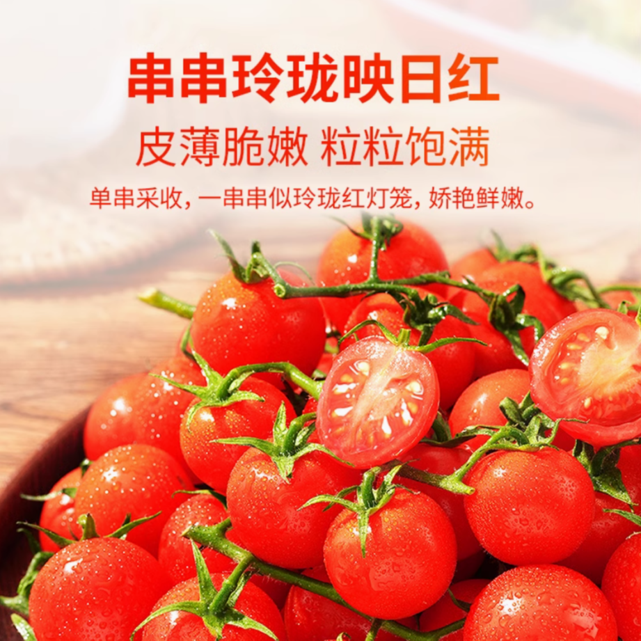 玲珑串收番茄千禧圣女果超甜小番茄当季新鲜西红柿子约/500g番茄同城送千禧圣女果甘肃省
