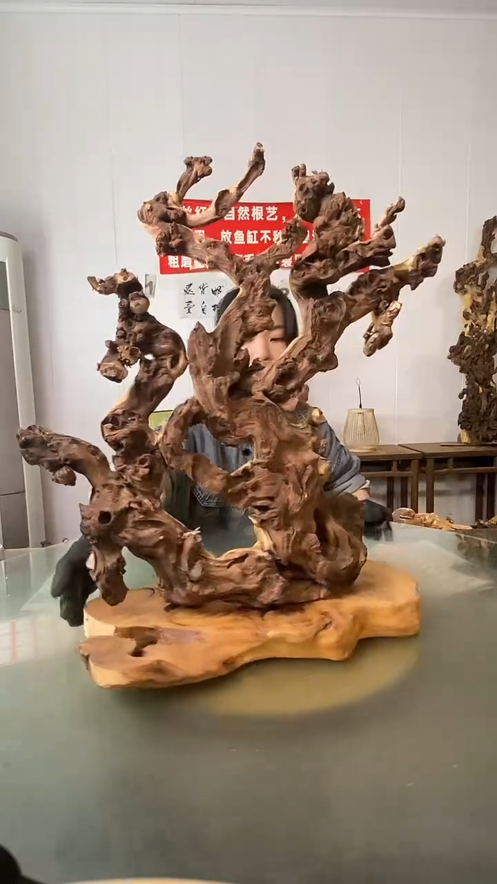 木灵*金丝红木 羊蹄甲