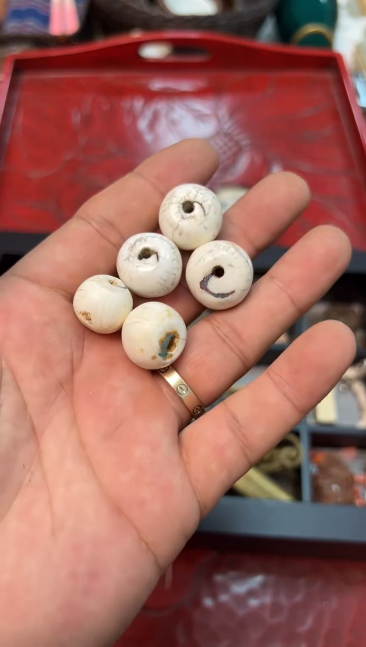 紫砂感谢喜欢谨慎扣货疯**鱼感谢喜欢谨慎扣货