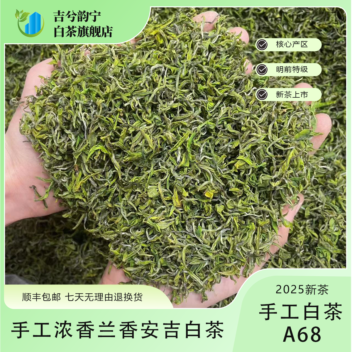 11号【手工白茶A68】2025新茶昆铜浓香手工安吉白茶鲜爽回甘