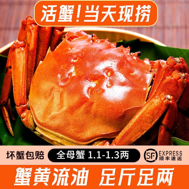 鲜活湖蟹母蟹全母蟹20只【1.1-1.3两】-顺丰京东冷链发货