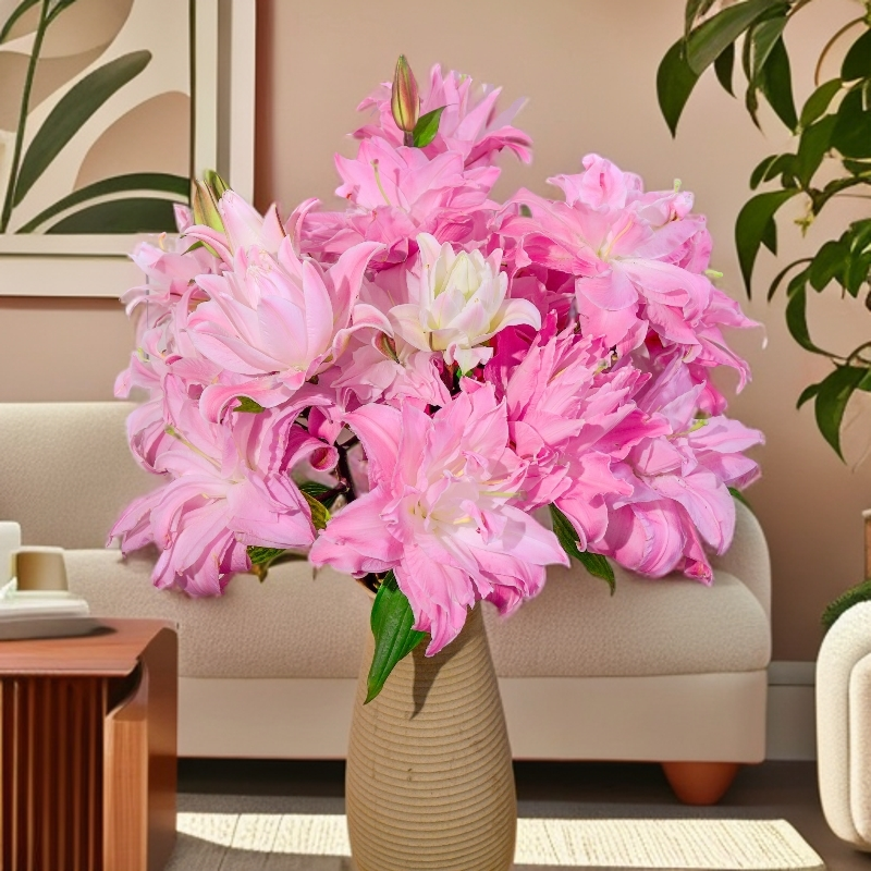 云南木木花卉 双钻 粉色稀有重瓣香水百合花 浓香鲜花水养插花