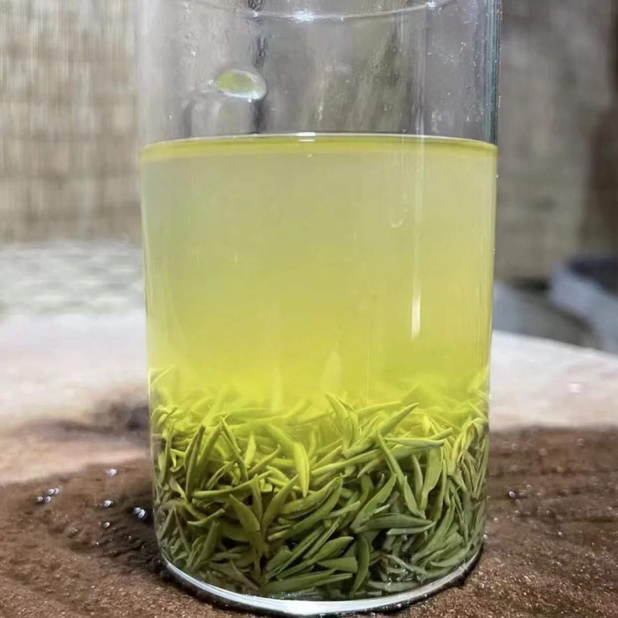 【东哥de茶山】2025信阳毛尖/老旱茶雨前小芽（兰花香）