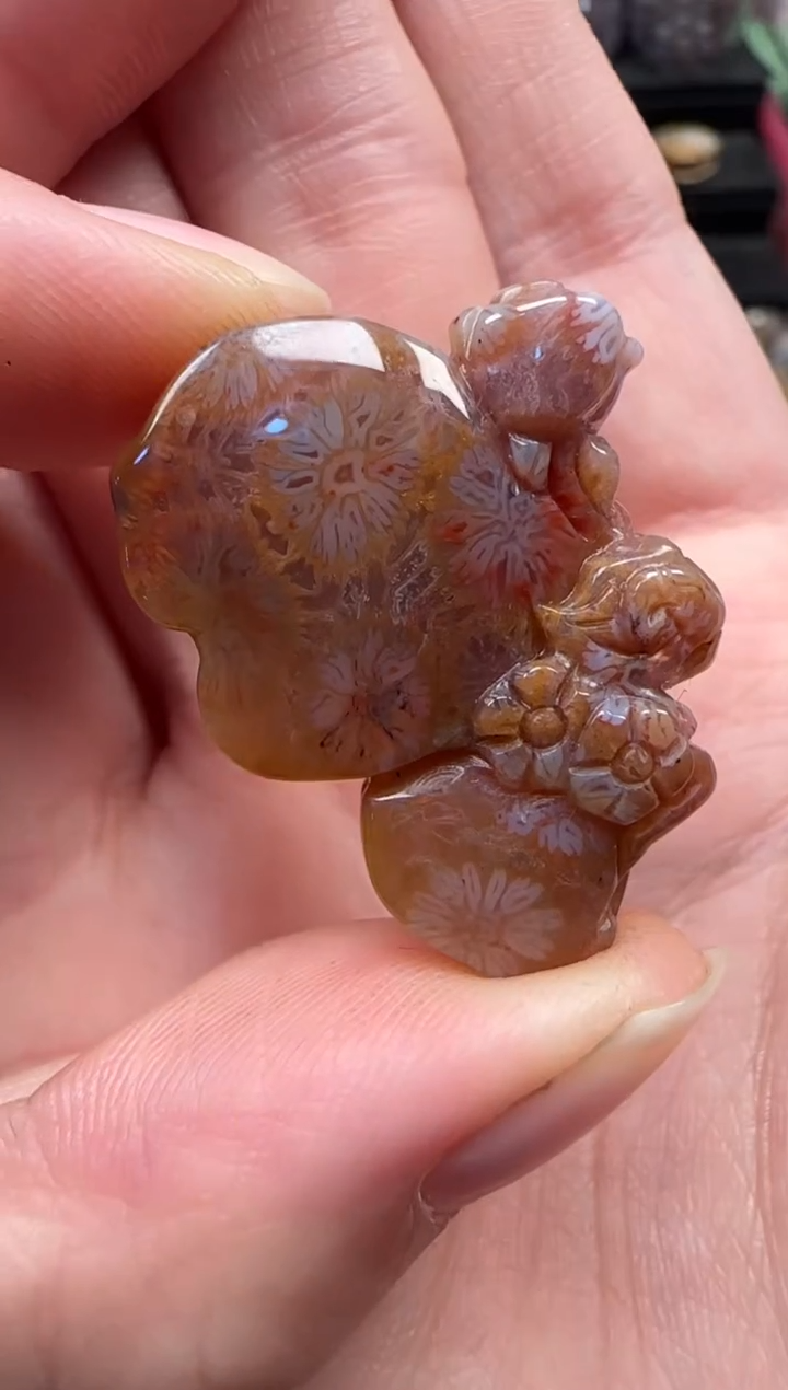 颈饰未镶嵌硅化珊瑚（珊瑚玉）650