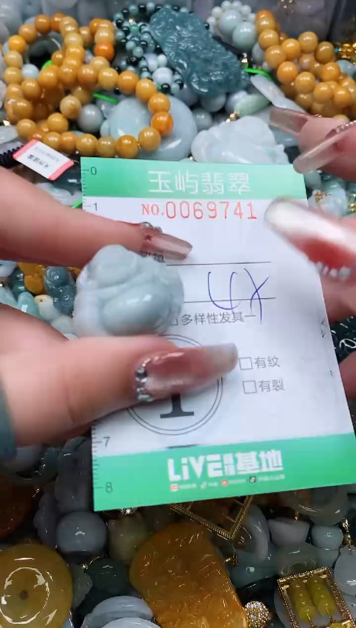 【闪购商品】翡翠颈饰未镶嵌闪购0069741