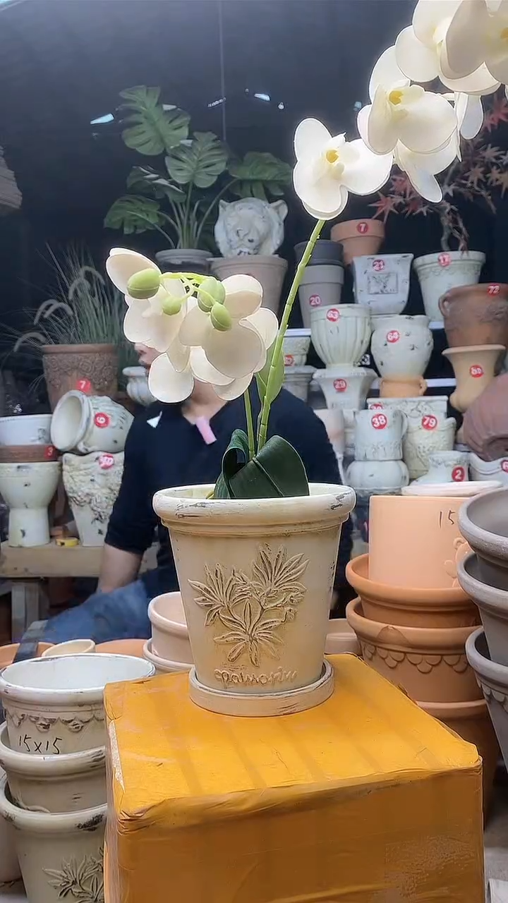 【闪购商品】缸1套15*15作旧陶香草陶土托