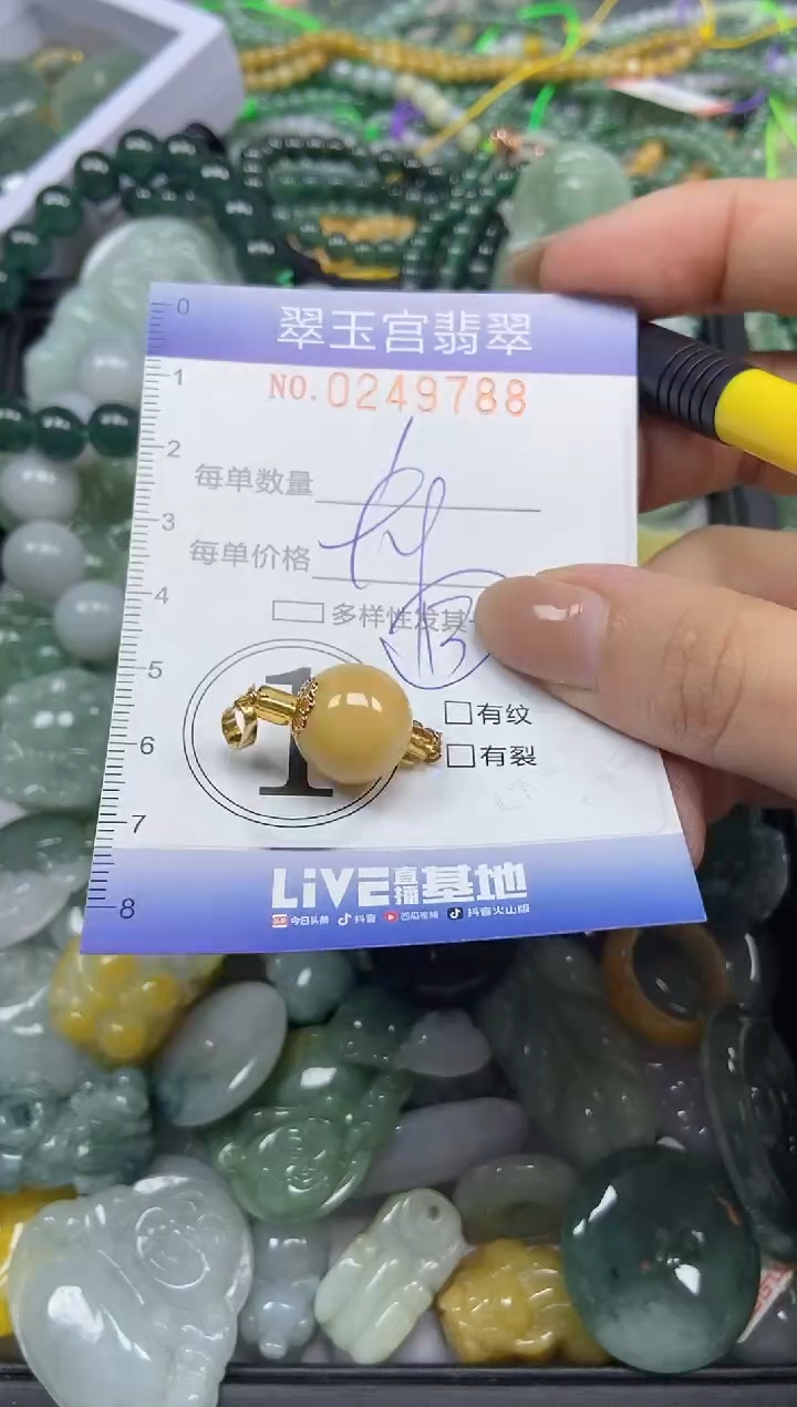 颈饰未镶嵌翡翠闪购C0249788