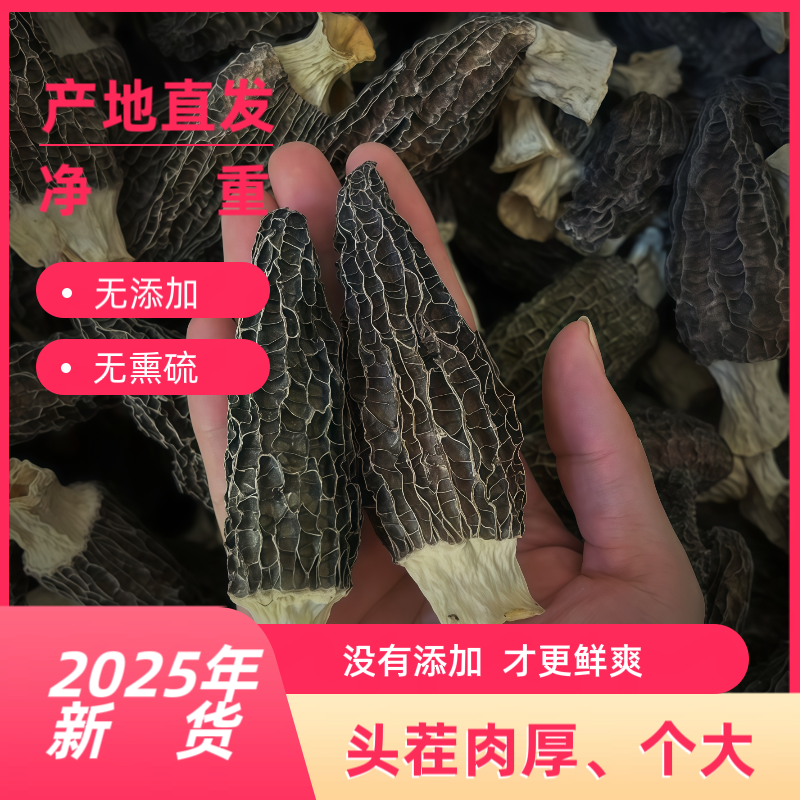 高山大个头精品羊肚菌干货头茬肉厚7cm_10cm送礼首选煲汤鲜美食材