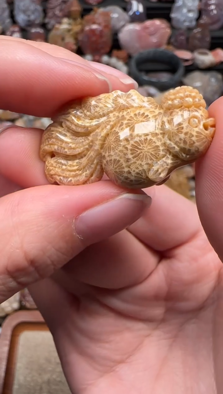 颈饰未镶嵌硅化珊瑚（珊瑚玉）855