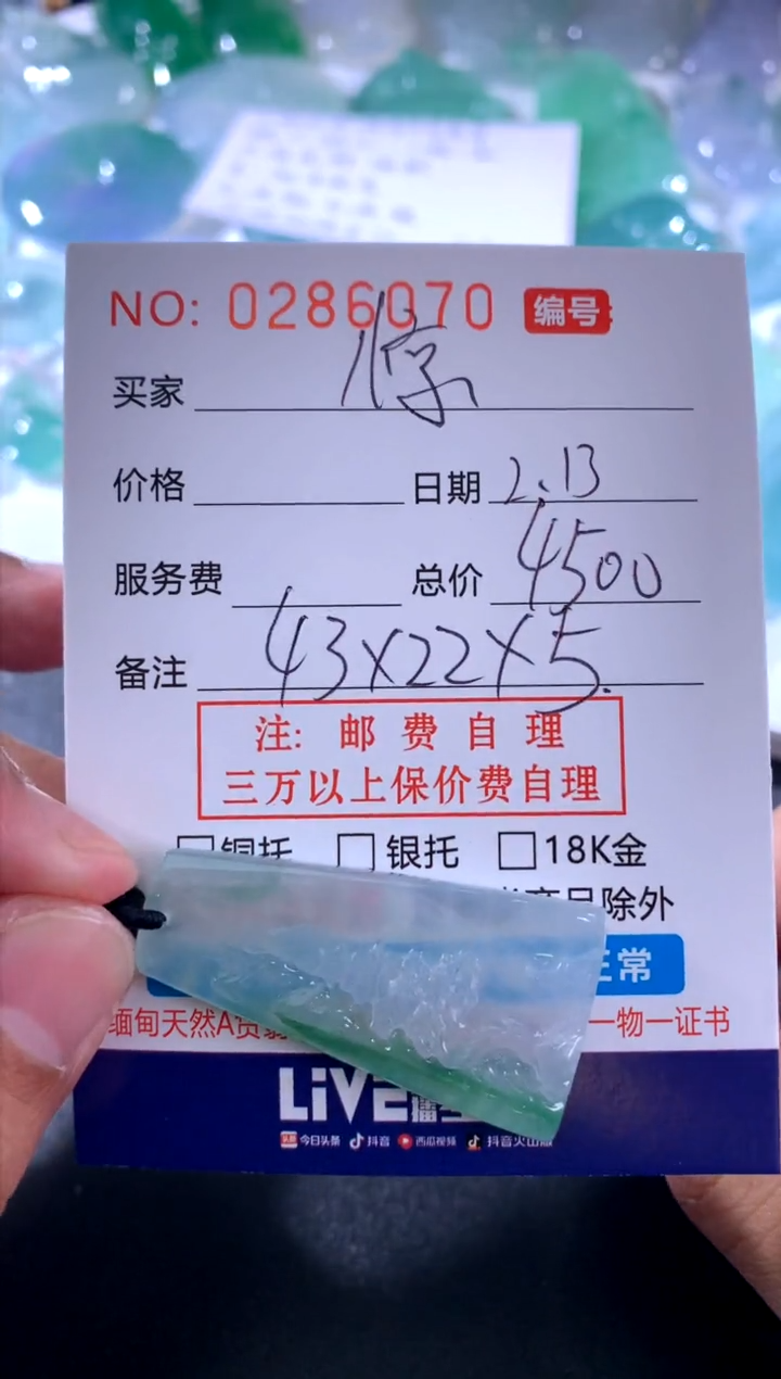 【闪购商品】翡翠颈饰未镶嵌惊