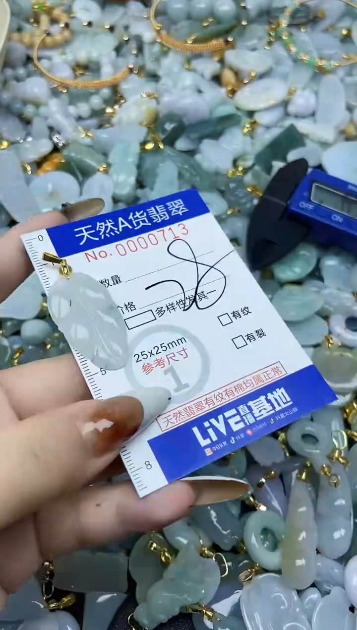 【闪购商品】翡翠颈饰未镶嵌天然A货翡翠