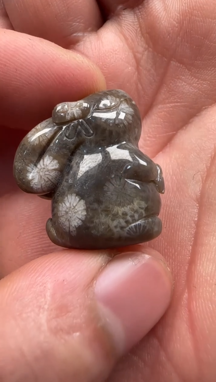 【闪购商品】硅化珊瑚（珊瑚玉）颈饰未镶嵌605