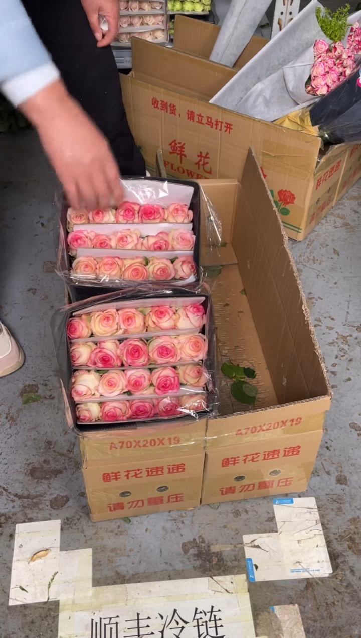 艾沙3扎              
