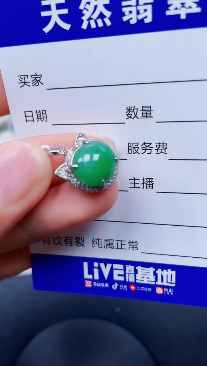 颈饰银S925镶嵌翡翠155