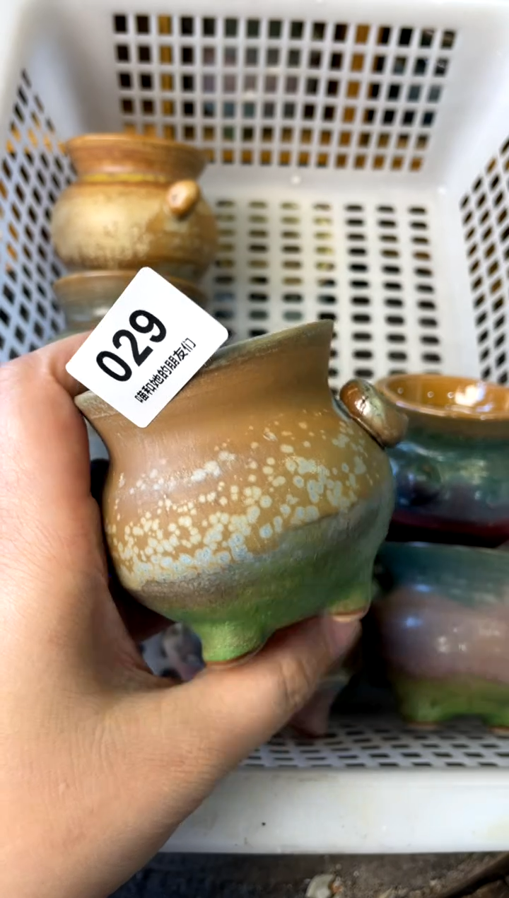 【闪购商品】陶029 内口5