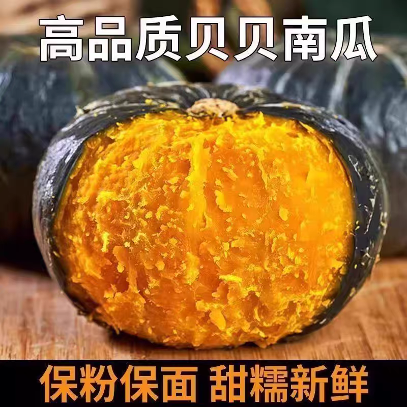 【内蒙产地直发】正宗内蒙贝贝南瓜板栗味粉糯香甜新鲜营养宝宝辅食