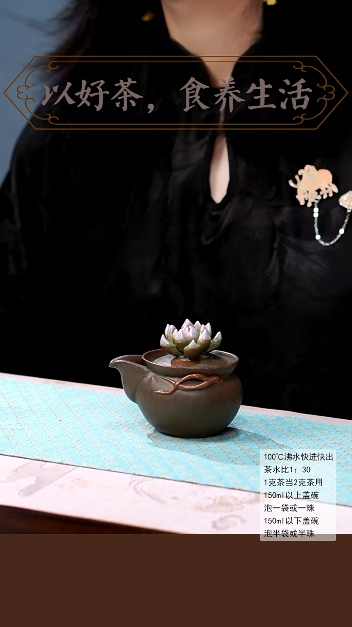 闪购链接@绿色多肉柴烧宝瓶02