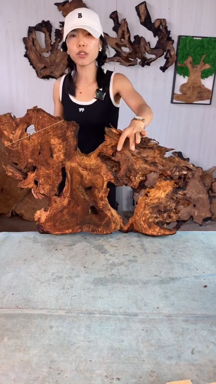 香杉木杉木瘤随型【原料】022