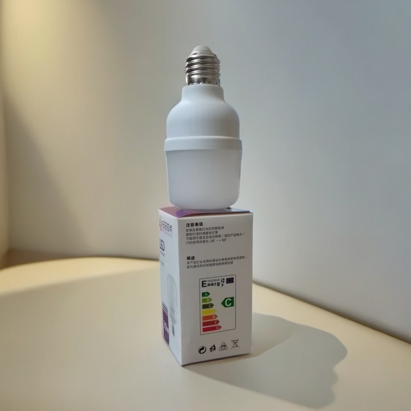 （日）led节能灯泡10w