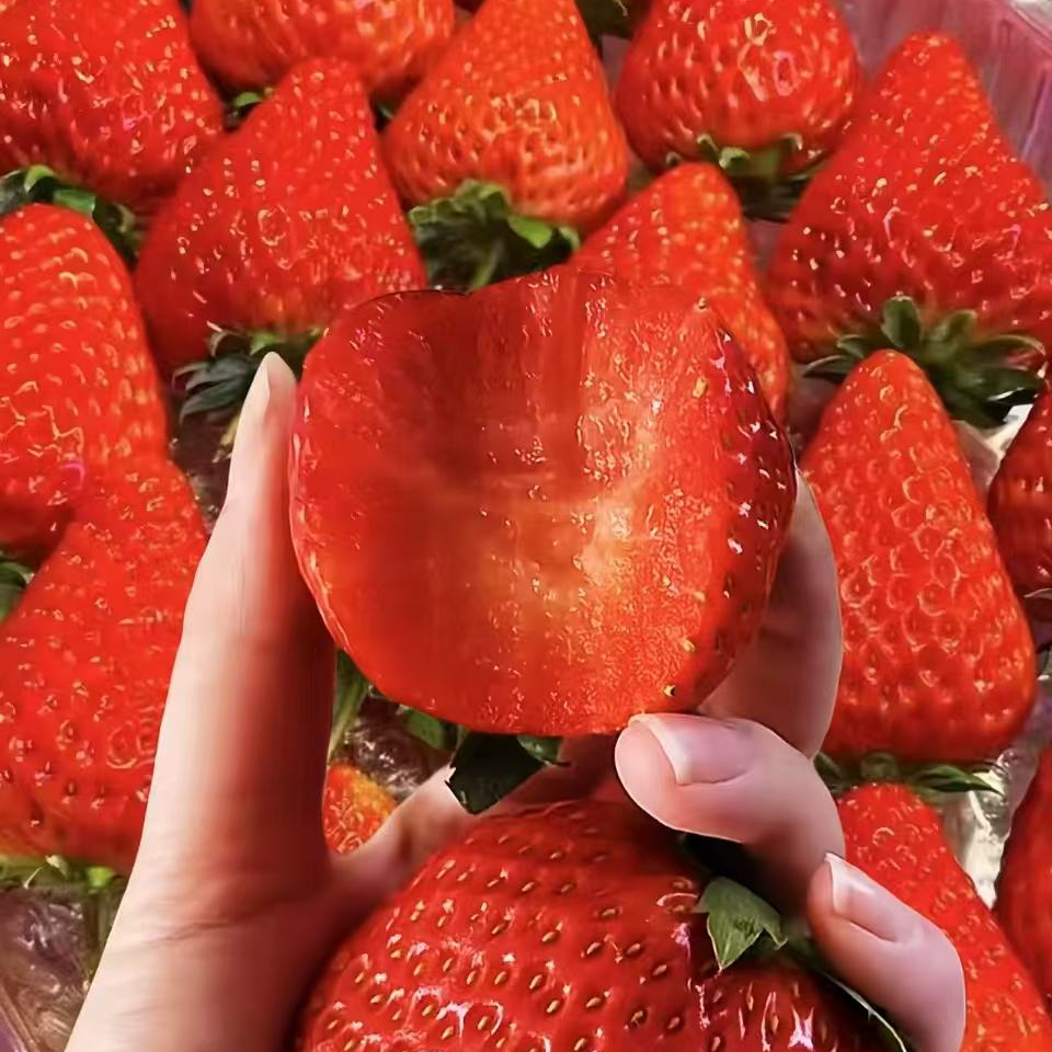 壹壹生鲜同城配送】草莓王，一箱净重900g左右