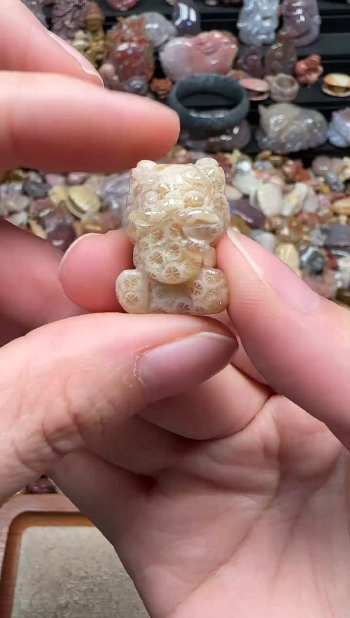 颈饰未镶嵌硅化珊瑚（珊瑚玉）018