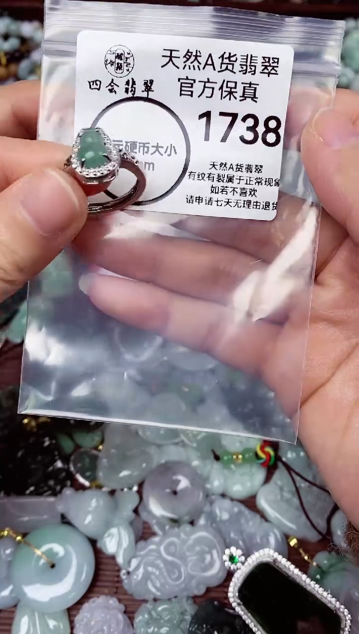 【闪购商品】翡翠颈饰未镶嵌天货A货翡翠1738