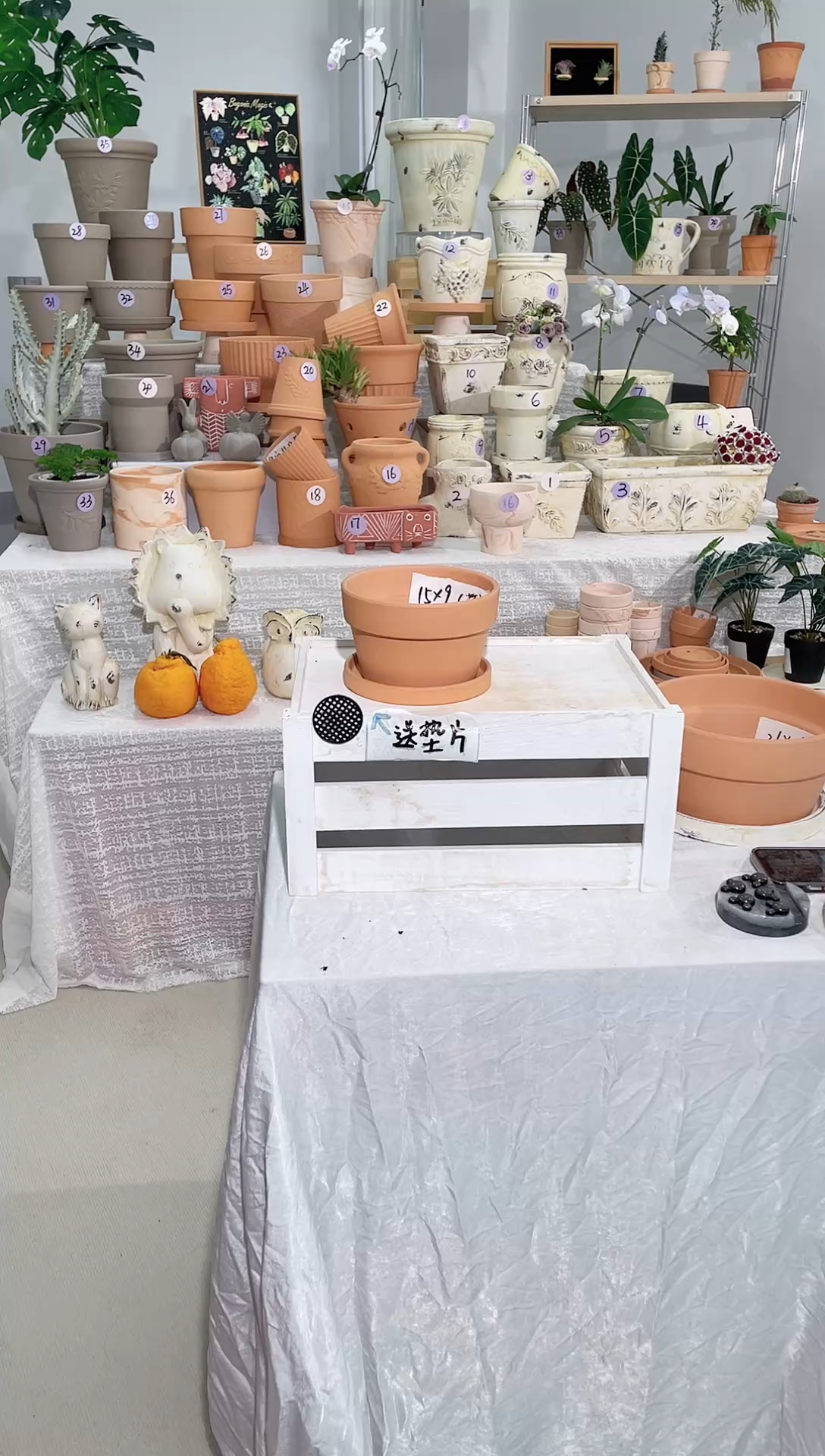 【闪购商品】陶1套带托 红陶矮宽盆 口径15*9