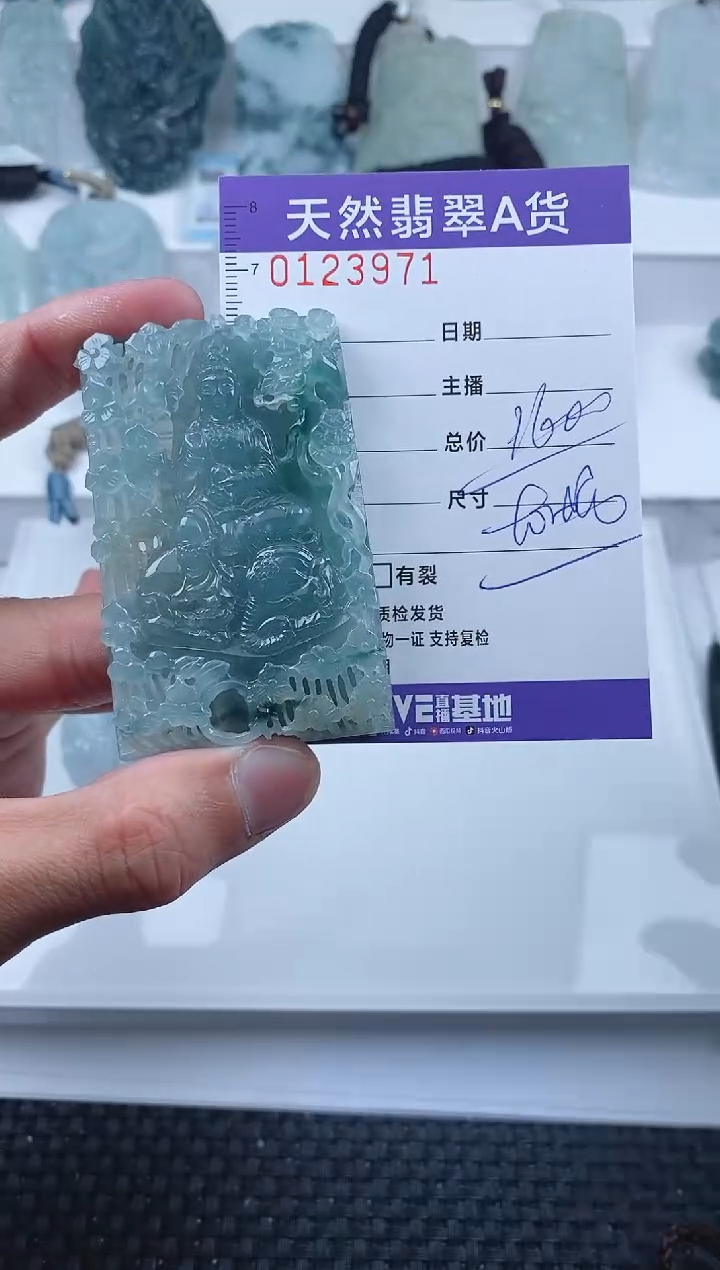 【闪购商品】翡翠颈饰未镶嵌         971