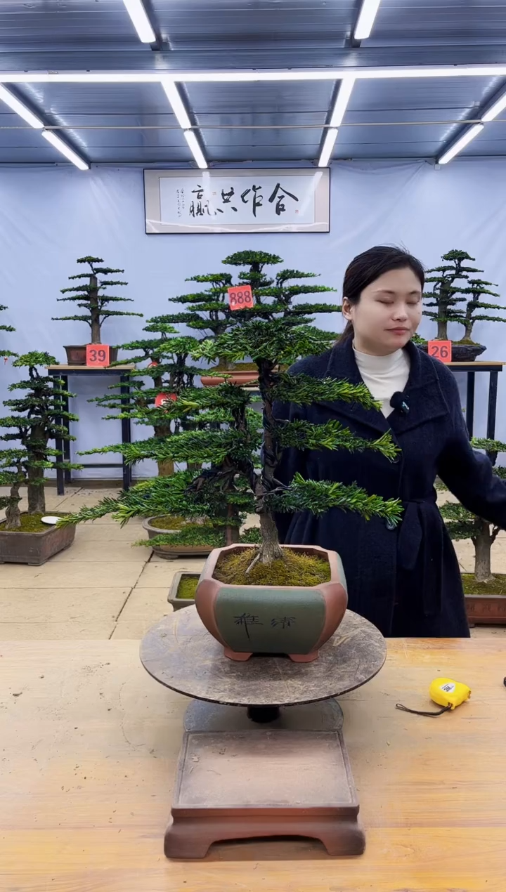 一物一拍，所见即所得