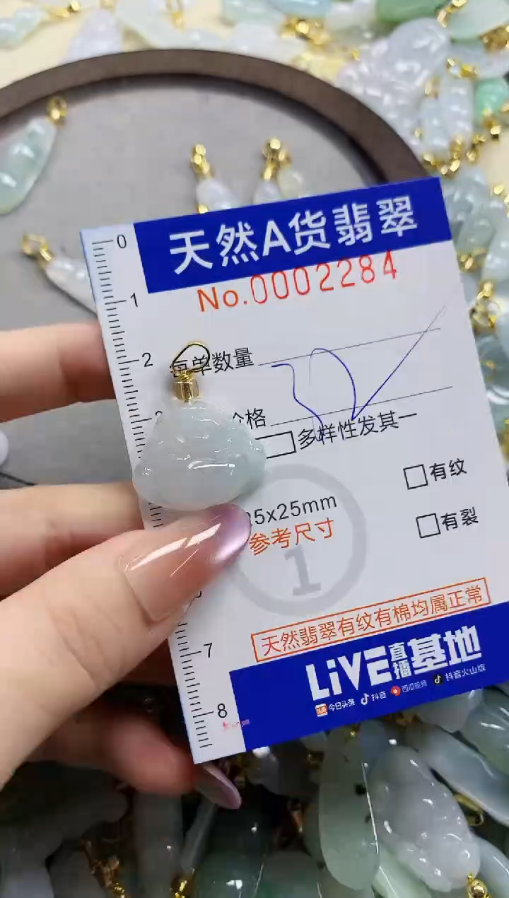 颈饰未镶嵌翡翠天然A货翡翠