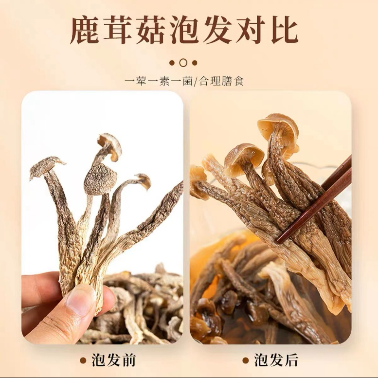 鹿茸菇干货特产新鲜鹿茸菌菇新鲜脆嫩爆炒炖汤营养美味【50g*4袋】