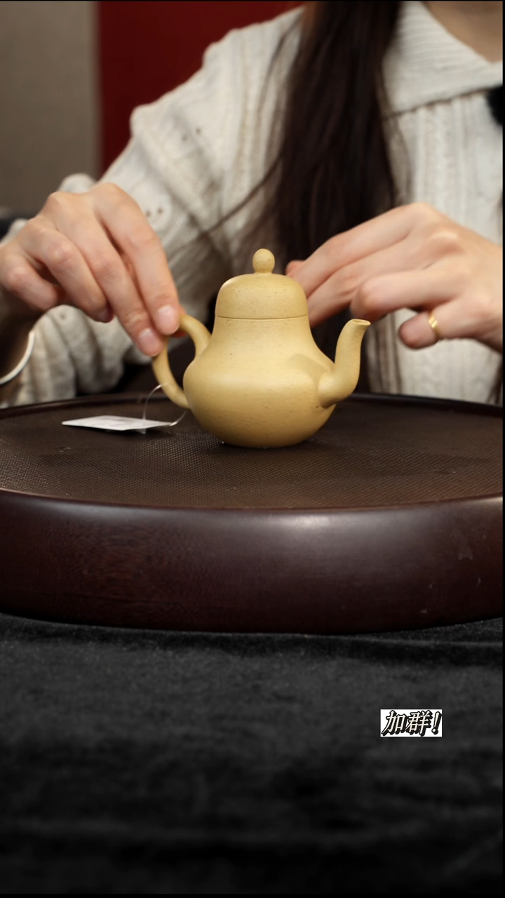 茶壶紫砂ZJ904166本绿思婷140c