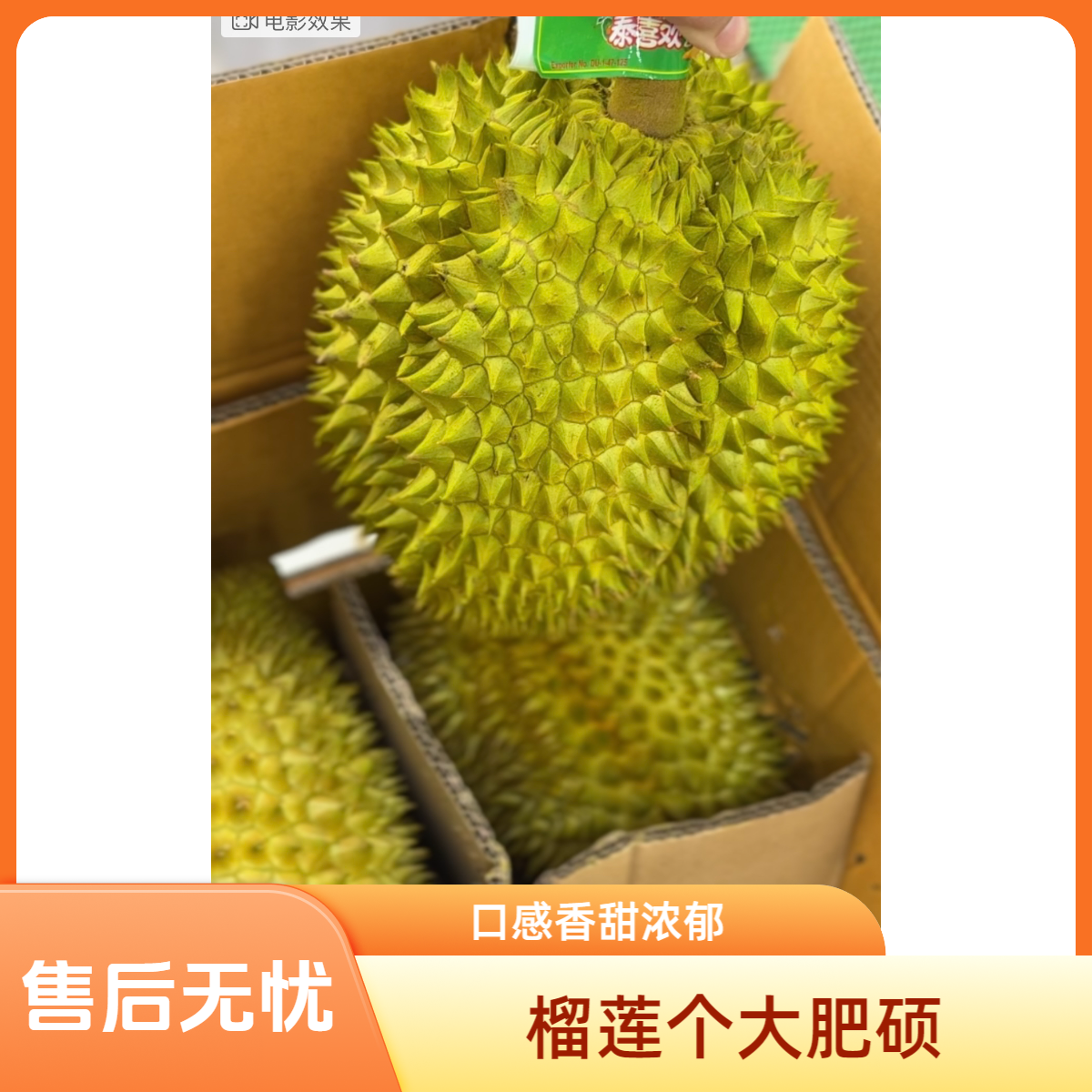金枕鲜榴莲（核小）【一果一拍】（300g~1600g)榴莲同城送榴莲同城送榴莲同城送榴莲同城送榴莲同城配金枕泰国