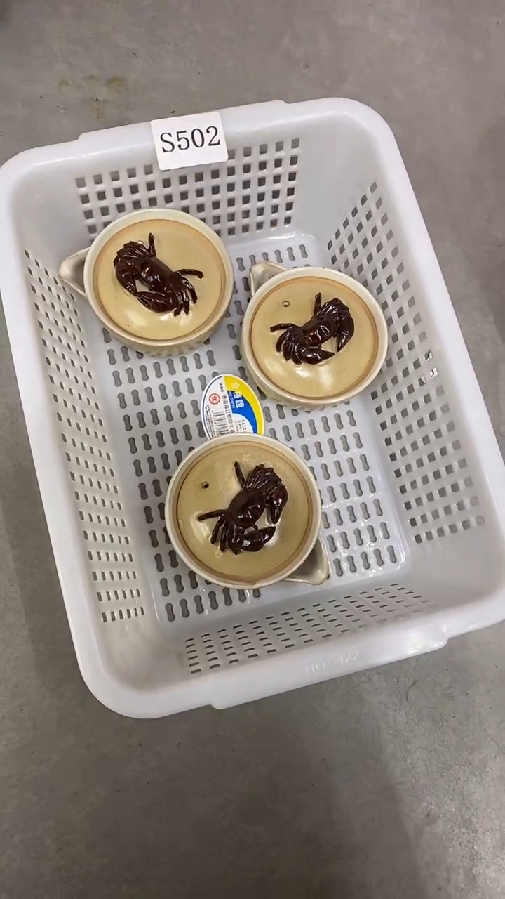 瓷片S502陶瓷茶具茶器